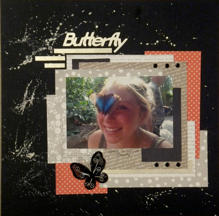 Butterfly