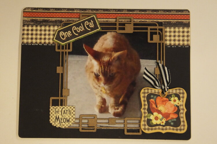 Cat Mini Album using Creative Embellishments and Graphic 45