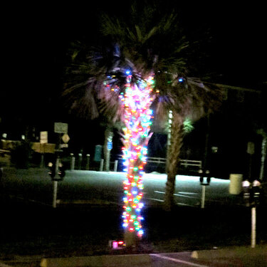 Garden City Beach Christmas Tree