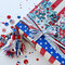 4th of July 2023 Scrapbook Album by Paige Evans