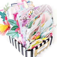 Pink Paislee MemoryDex