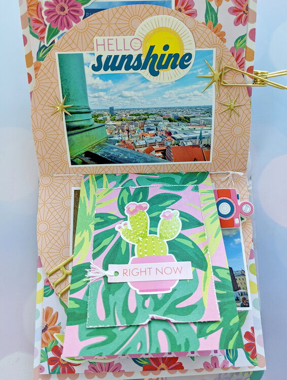 Summer Mini Album