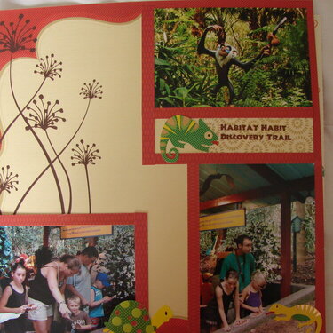 animal kingdom habitat habit discovery trail