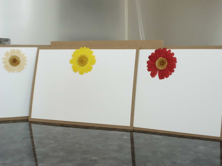 Pressed Flowers Blank Notes
