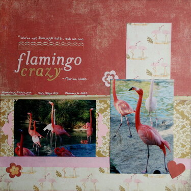 flamingo crazy