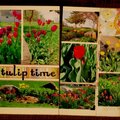 Tulip Time