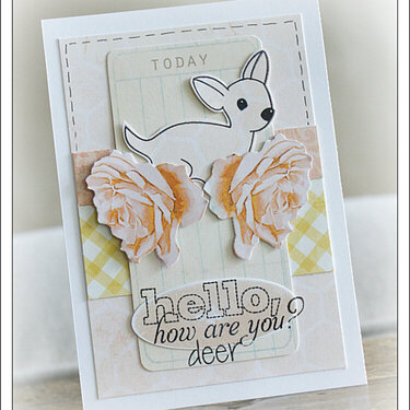 ~How are You Deer?~TCM