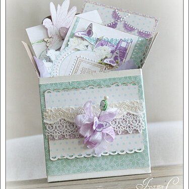 ~Card Gift Box~ NEW Webster&#039;s Pages
