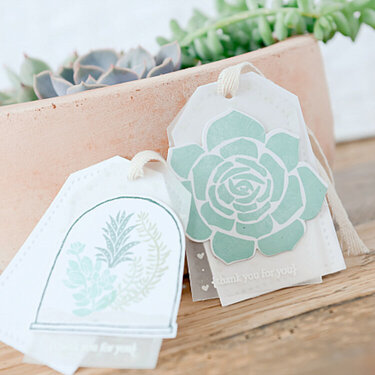 ~Succulent Tags~