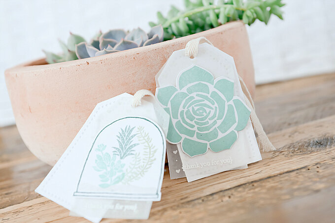 ~Succulent Tags~