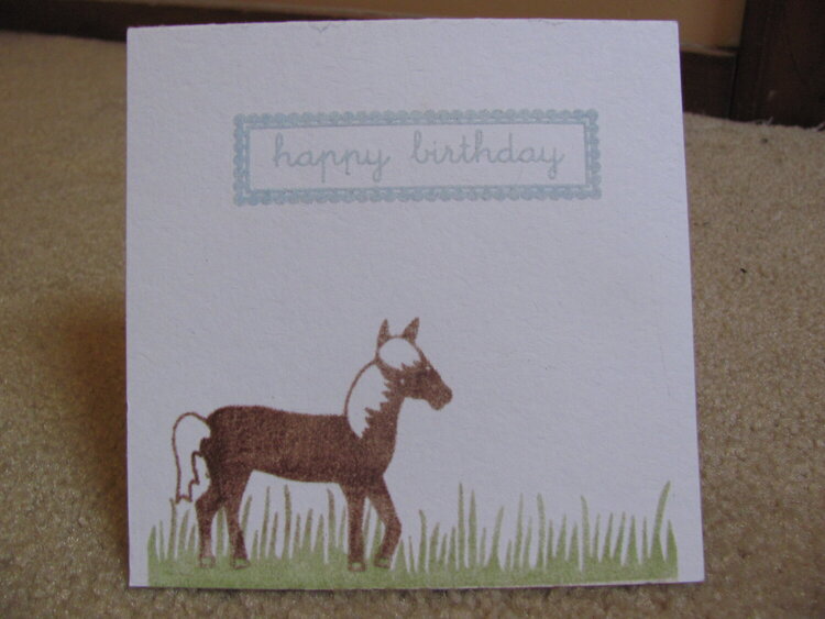 Horse birthday card