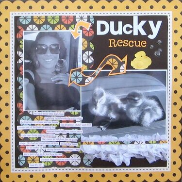 Ducky Rescue