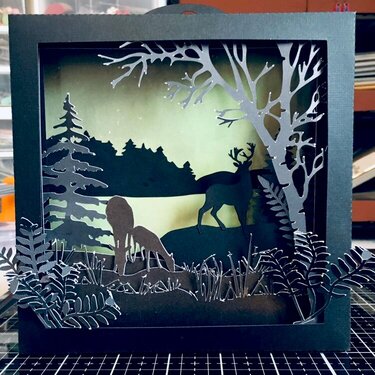 Deer Shadow Box