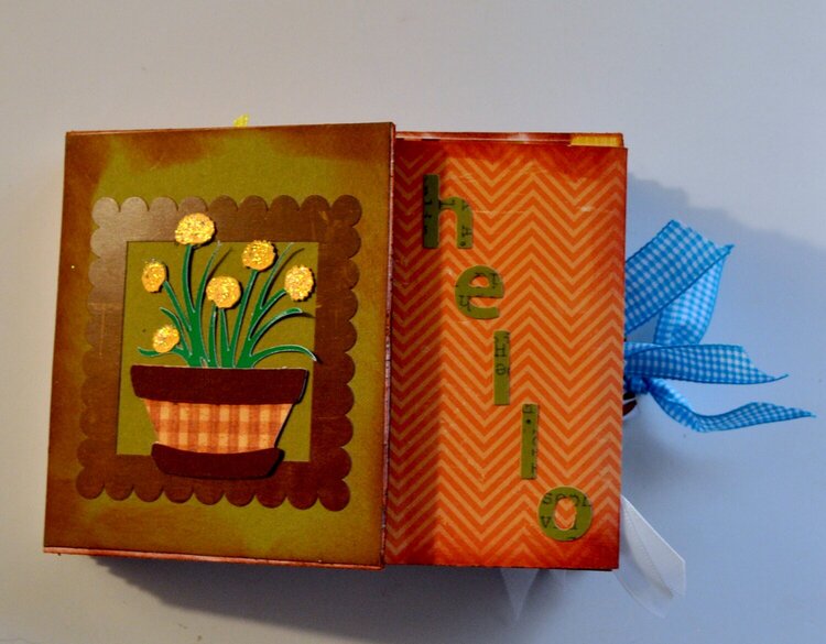 Mini Envelope Album.... Cover