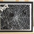 Boo - spider's web