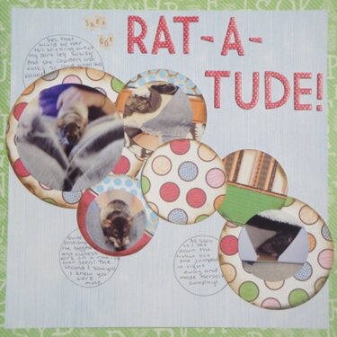 Rat-A-Tude
