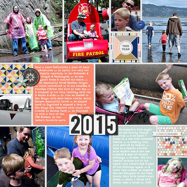 2015 year in review