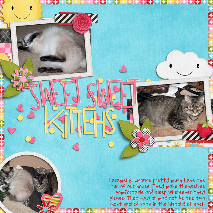 Sweet, Sweet Kittehs