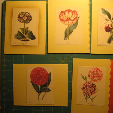 flower cards