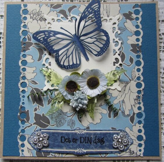 Its your day - blue butterfly