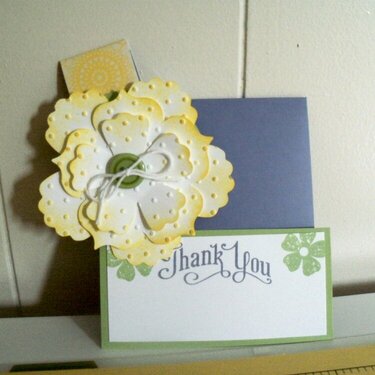 petite pocket card