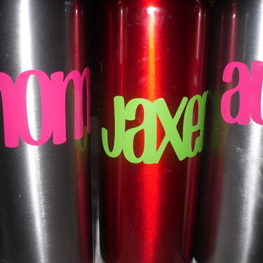 Aluminum Water Bottles decorated w/ vinyl