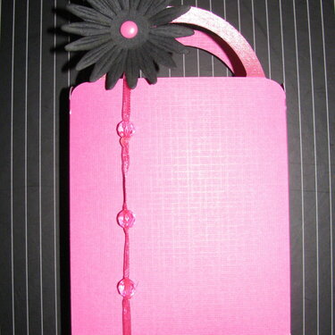 Gift Bag-Hot Pink and Black