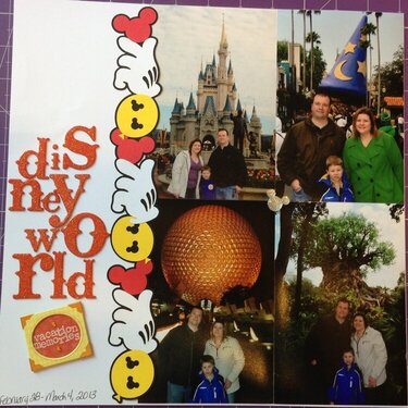 Disney World Cover