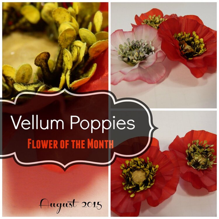 Vellum Poppy