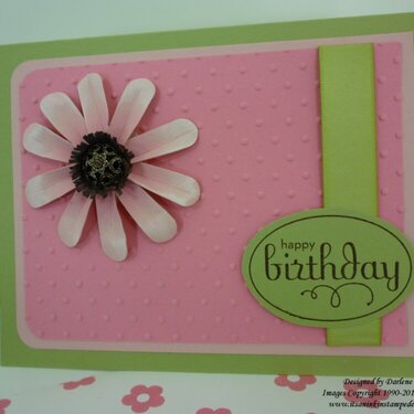 Pink Daisy Birthday