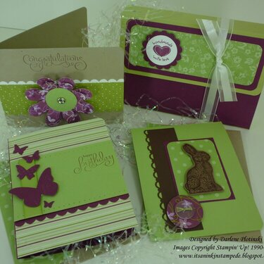 Quick and Easy Card Kit-Spring Fever 2010