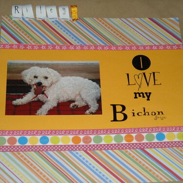 I Love My Bichon