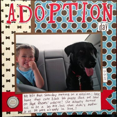 Macy&#039;s Adoption Day