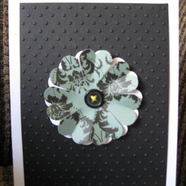 New Swiss Dots Folder