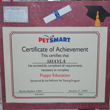 Grad Certificate