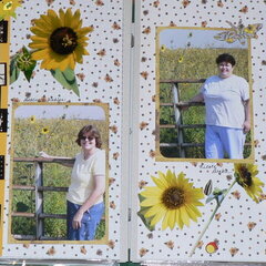 Wild Texas Sunflowers