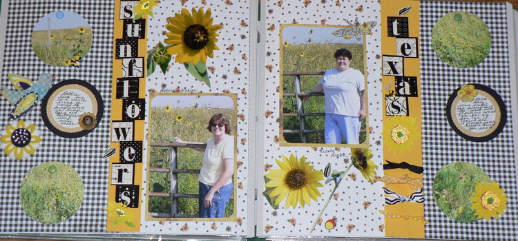 Wild Texas Sunflowers