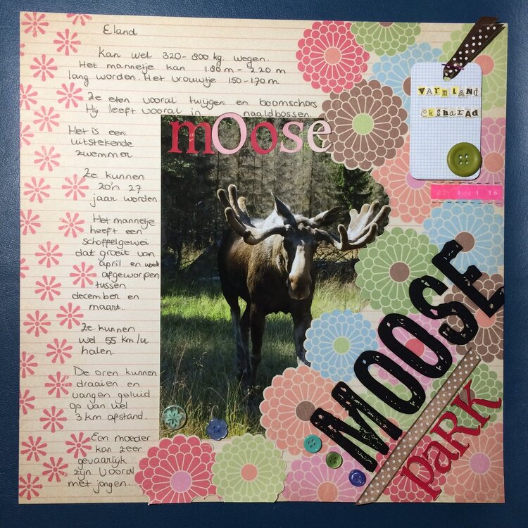 Moose park