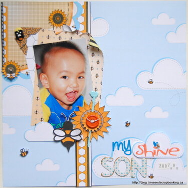 My Son Shine **Willow Bee**