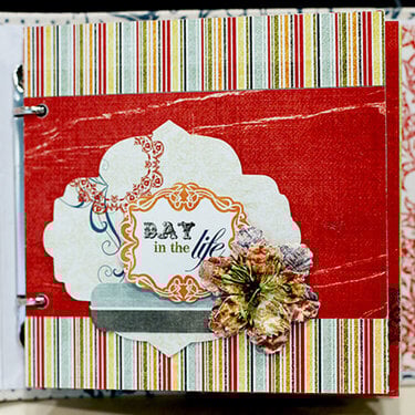 New Life Album *Pink Paislee*