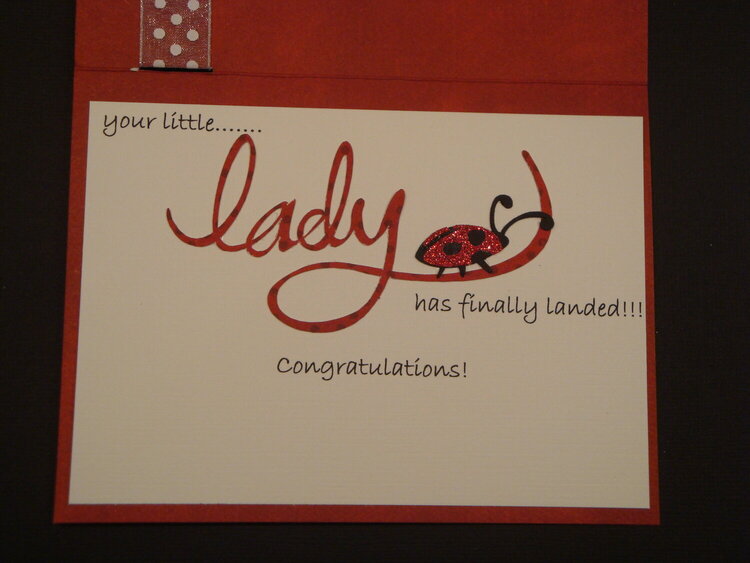 Inside of lady bug card