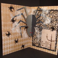 inside of spider card