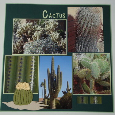 cactus page 1