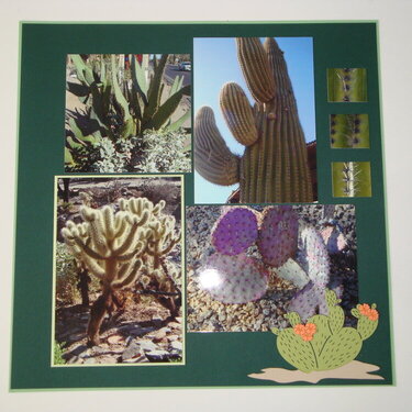 cactus page 2