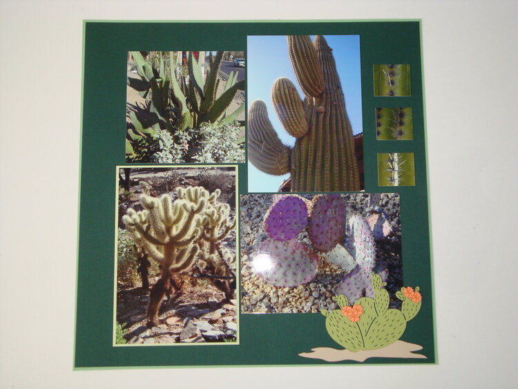 cactus page 2