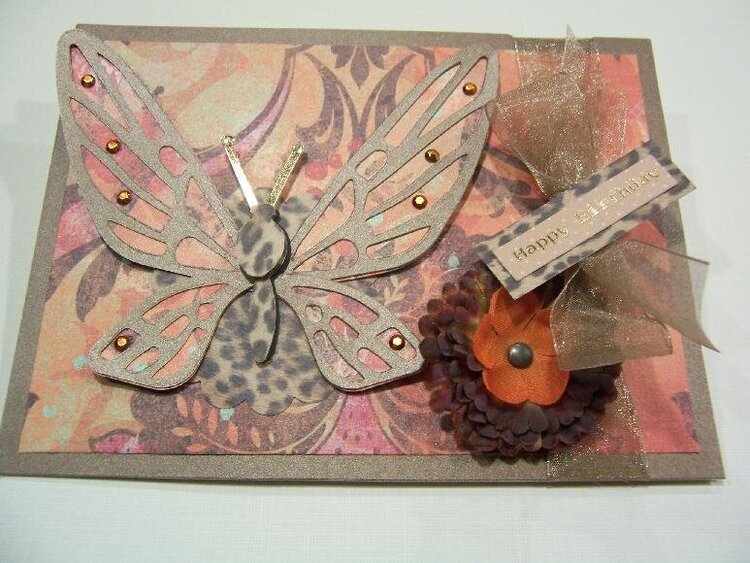 Leopard Butterfly Birthday Card