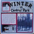 Winter in Central Park