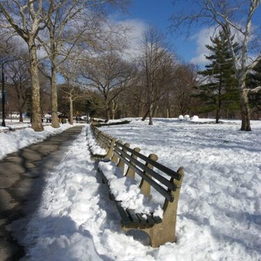 Photography Challenge - Brrr: Snow in Central Park