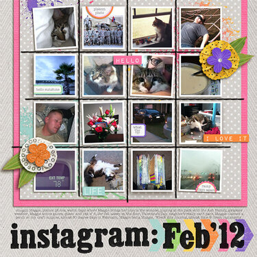instagram:Feb12