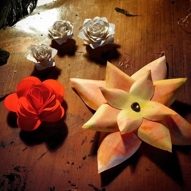 Paper Flowers